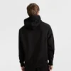 Reverse Weave Küçük C Kapüşonlu Sweatshirt